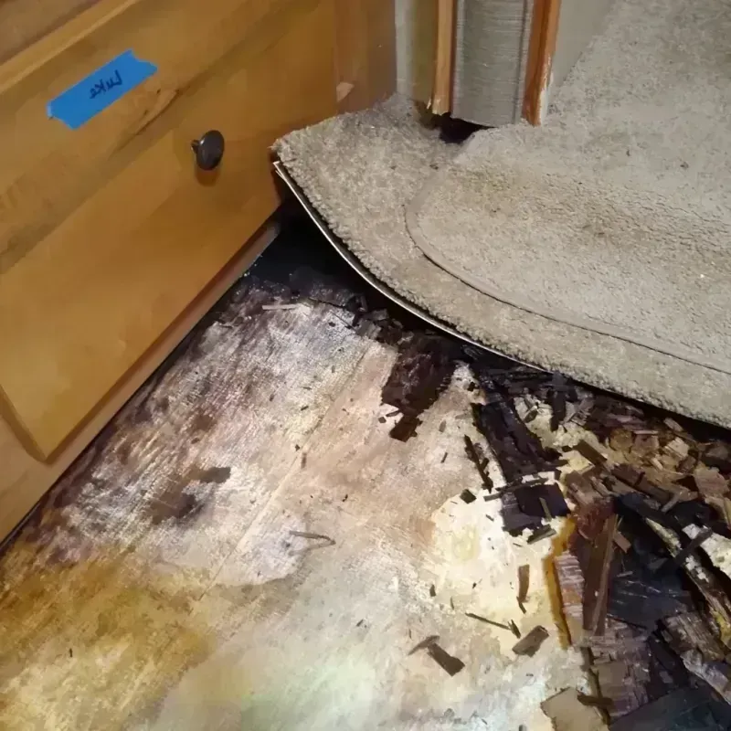 Best Wood Floor Water Damage Service in Mitchellville, IA